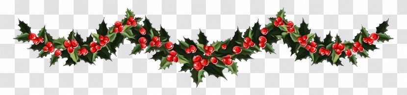 Christmas Decoration - Pine Family - Fir Transparent PNG