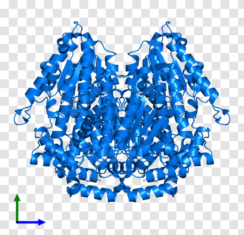 Organism Line Font - Cobalt Blue Transparent PNG
