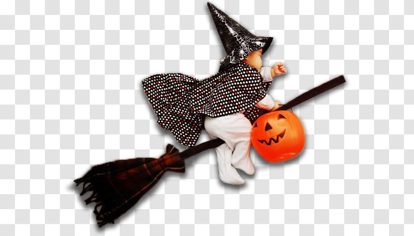 Infant Halloween Photography Idea Child - Witch Transparent PNG