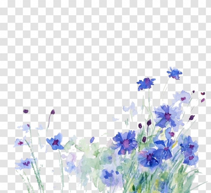 Cornflower Watercolor Painting Illustration - Photography - Blue Flowers Transparent PNG
