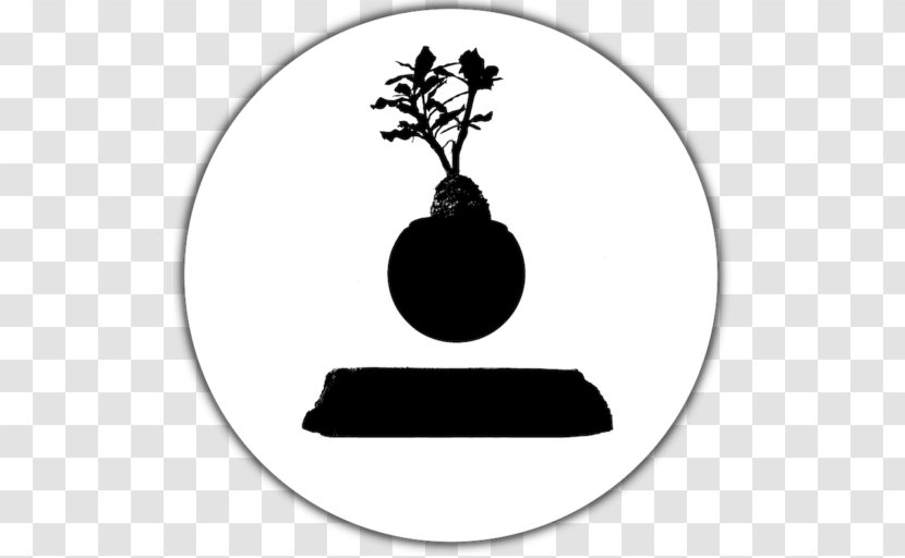 Bonsai Houseplant Vase Lauchäcker Tree - Lehrensteinsfeld Transparent PNG