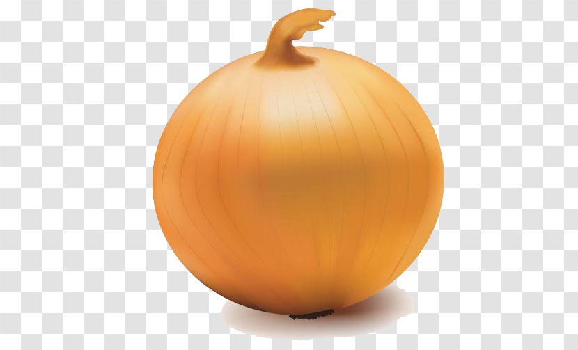 Yellow Onion Jack-o-lantern - Orange - Vector Transparent Transparent PNG