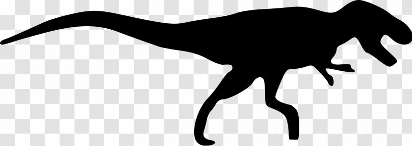 Tyrannosaurus Kentrosaurus Dinosaur Triceratops Carnotaurus - Silhouette Transparent PNG