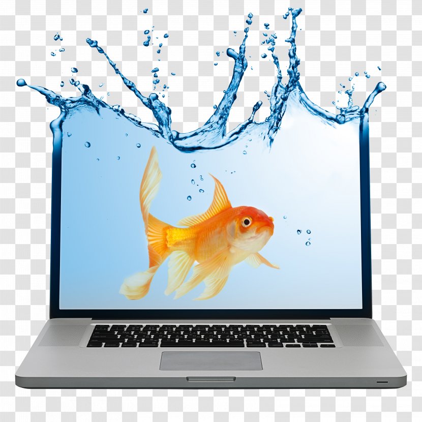 Laptop Advertising Notebook Business Marketing - Water Environment Federation - And Goldfish Transparent PNG