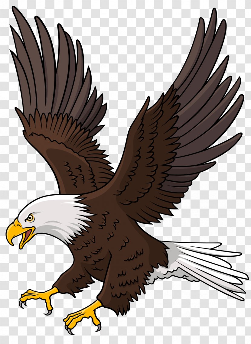 Bird Logo - Stock Photography - Tail Sea Eagle Transparent PNG