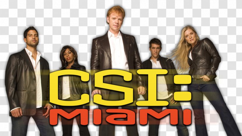 Calleigh Duquesne CSI: Miami - Csi Season 1 - 4 MiamiSeason 9 Film 1Others Transparent PNG