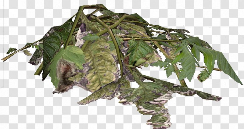 DayZ Leaf Plant Wiki - Tree Transparent PNG