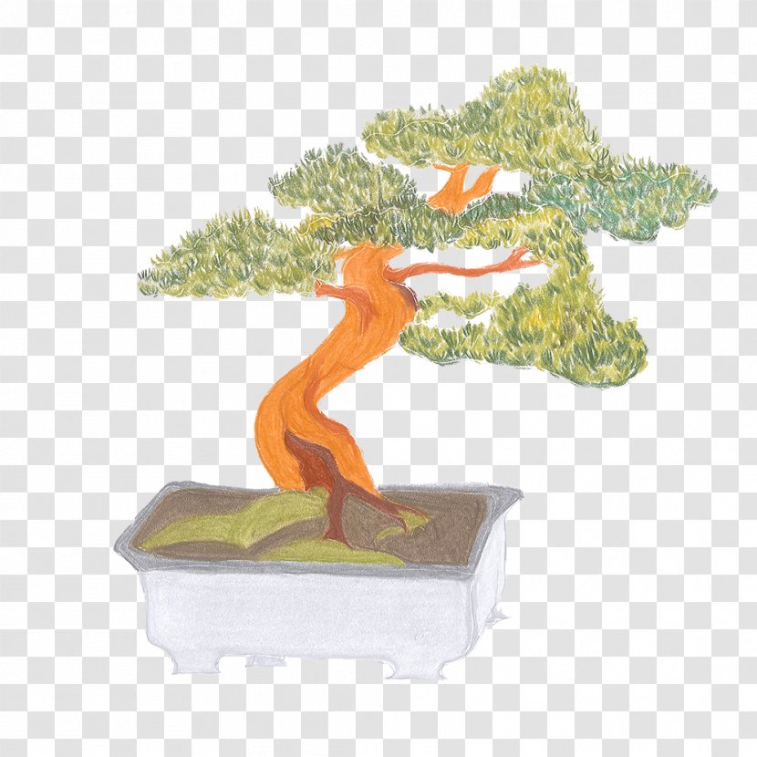 Bonsai Flowerpot Tree - Organism Transparent PNG