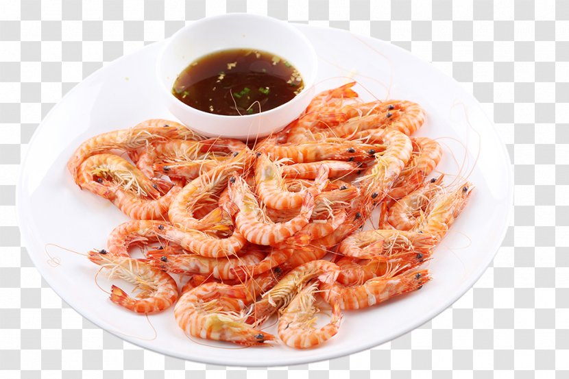 Caridea Hotel Gratis U57fau56f4u867e - Animal Source Foods - Shrimp Dishes Transparent PNG
