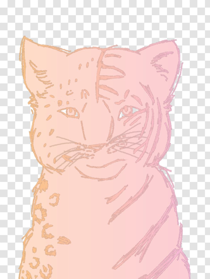 Whiskers Kitten Cat Drawing - Frame Transparent PNG