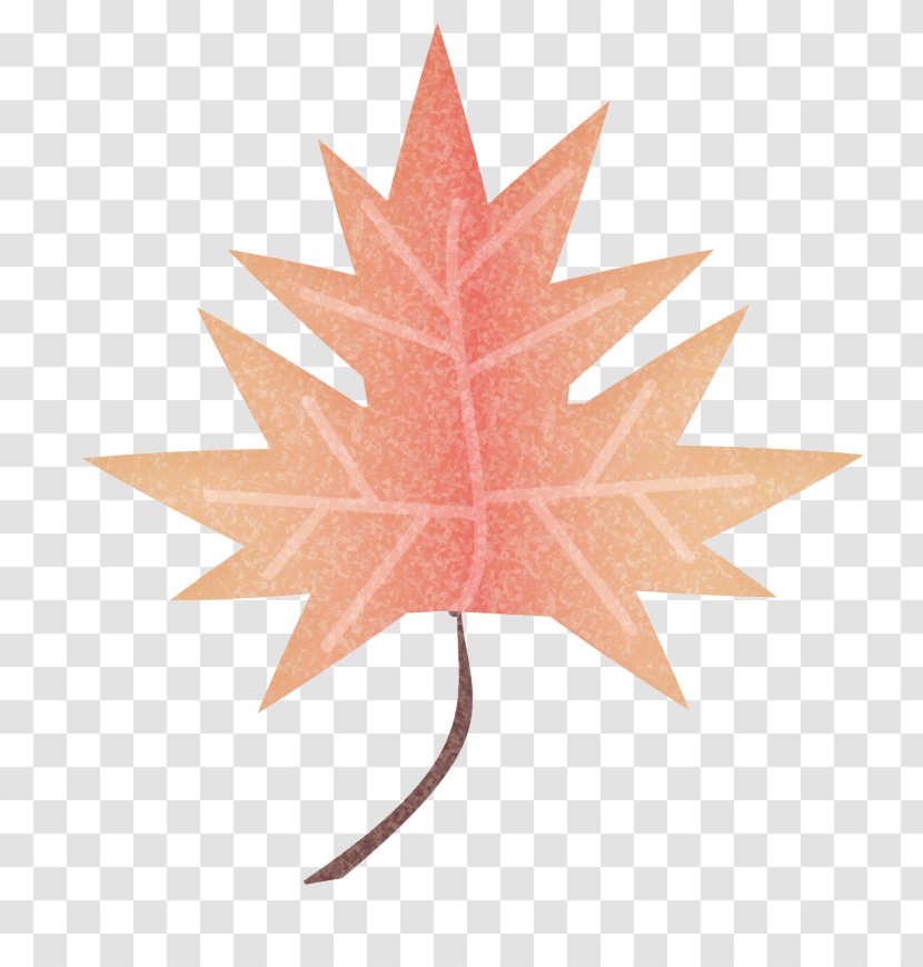 Maple Leaf Symmetry Transparent PNG