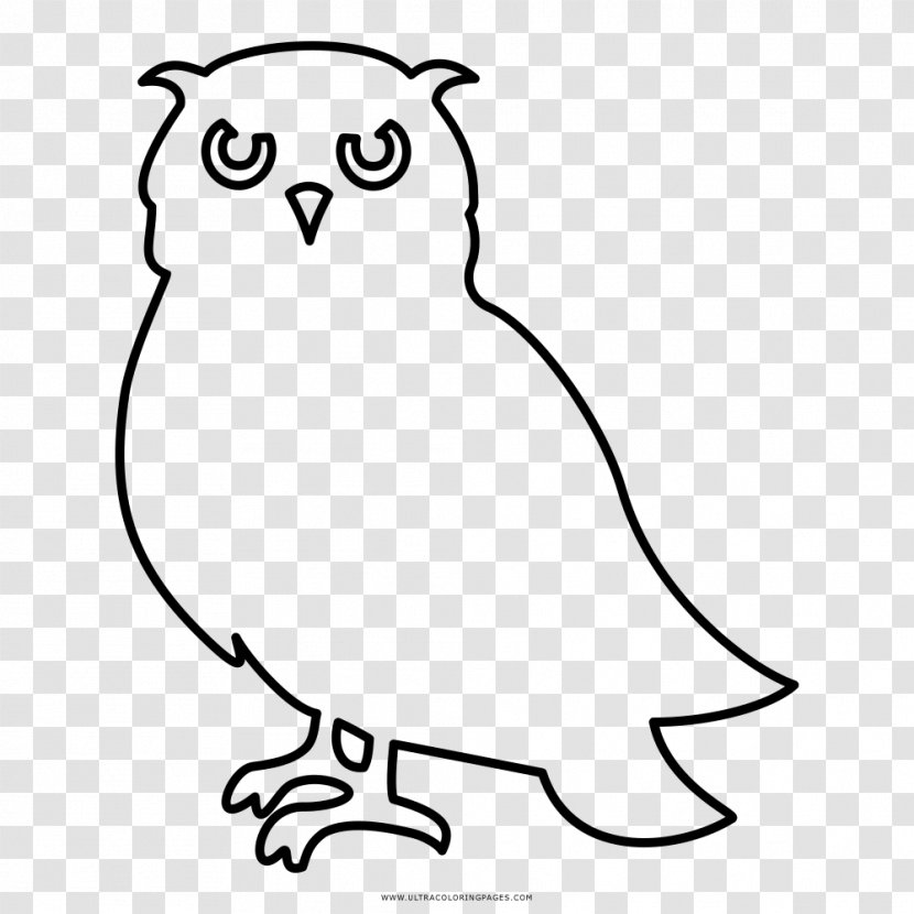 Little Owl Black And White Drawing Coloring Book - Wildlife Transparent PNG