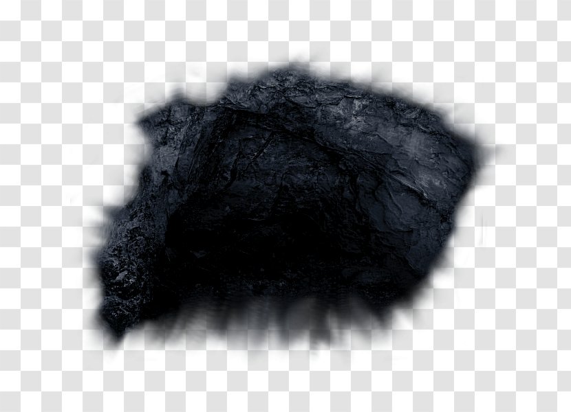 Fur Snout White Black M Transparent PNG