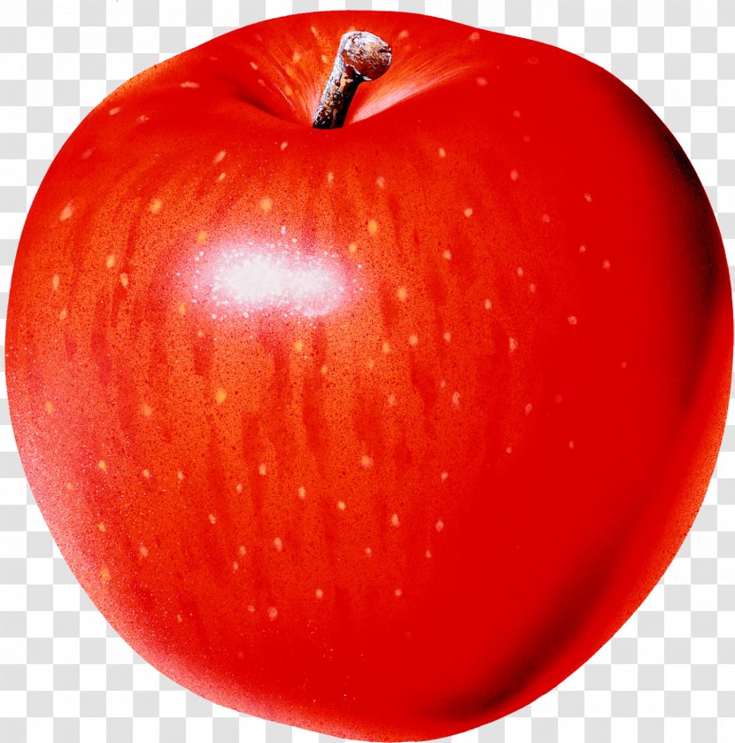 Clip Art Free Content Apple Image - Mcintosh Transparent PNG