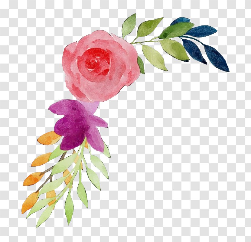 Rose - Watercolor - Leaf Flowering Plant Transparent PNG