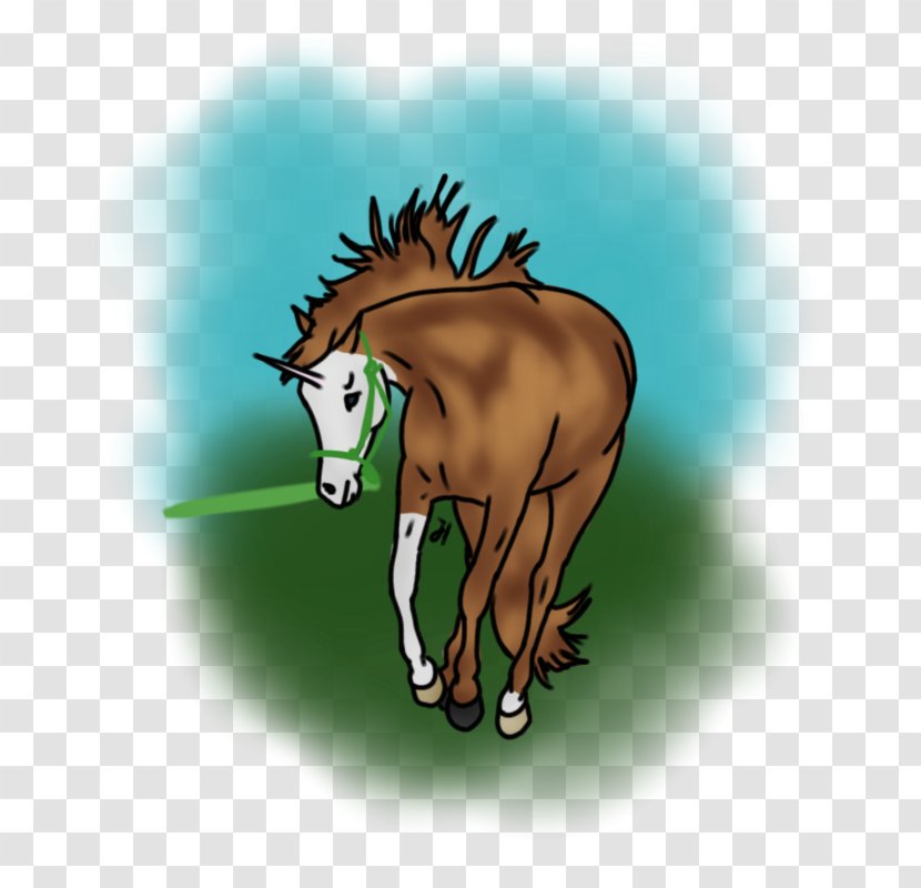 Mane Foal Mustang Stallion Colt - Pony Transparent PNG