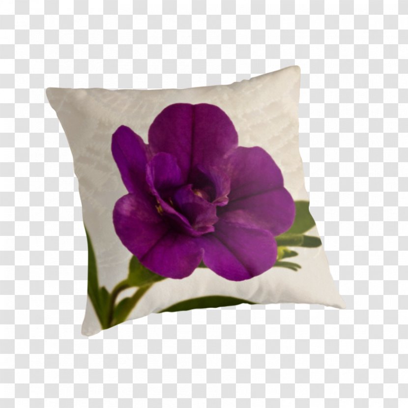 Throw Pillows Cushion Violet Family - Petal - Pillow Transparent PNG