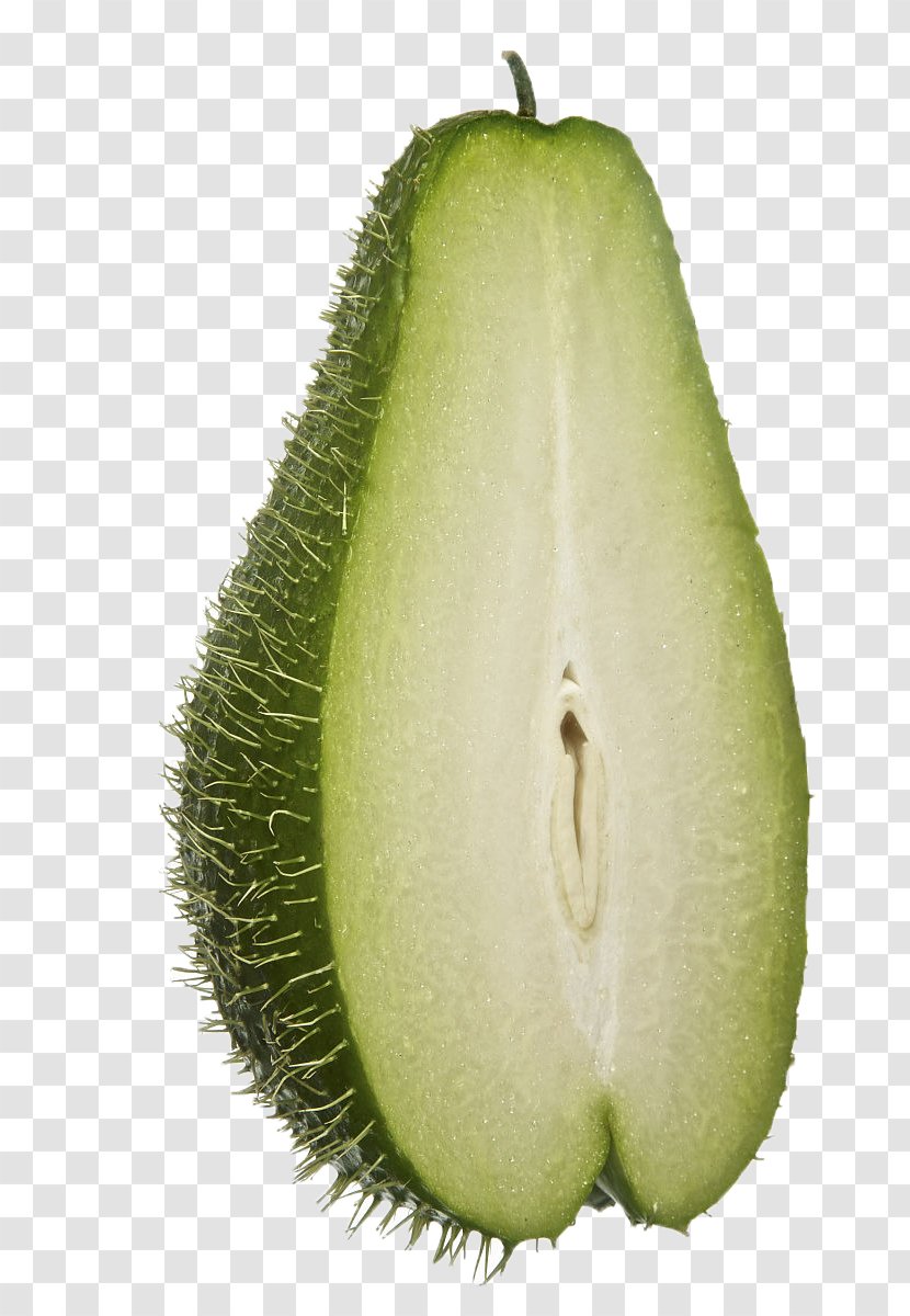 Chayote Melon Stock.xchng - Watercolor - Half Of The Lap Gourd Transparent PNG