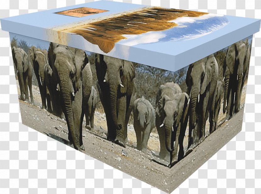 Elephantidae - Elephant - Casket Transparent PNG