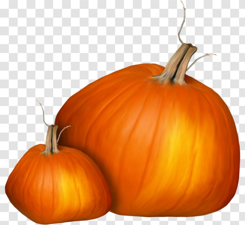 Jack-o'-lantern Calabaza Pumpkin Gourd Squash - Leaf Transparent PNG
