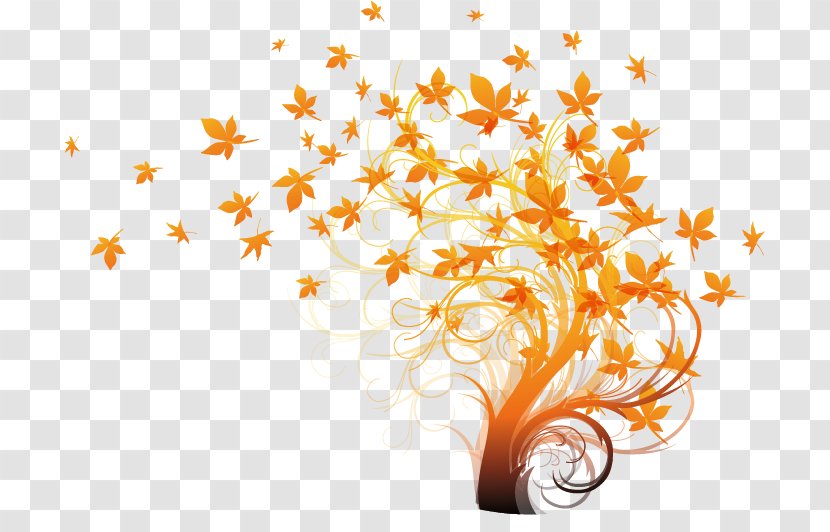 Autumn Leaf Color Tree Illustration - Creative Plant Vector Material Transparent PNG