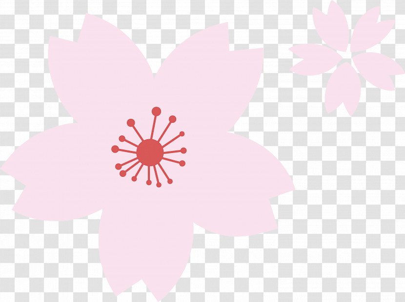 Cherry Flower Floral Flower Transparent PNG