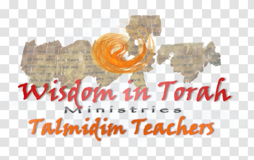 Temple Video Brand Logo - Pdf - Teacher Teaching Background Transparent PNG