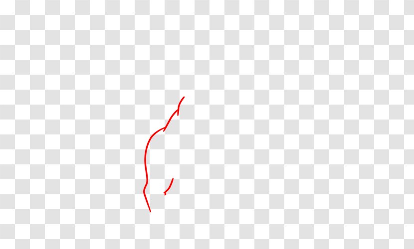 Drawing Pencil Fox - Howto - Draw Transparent PNG