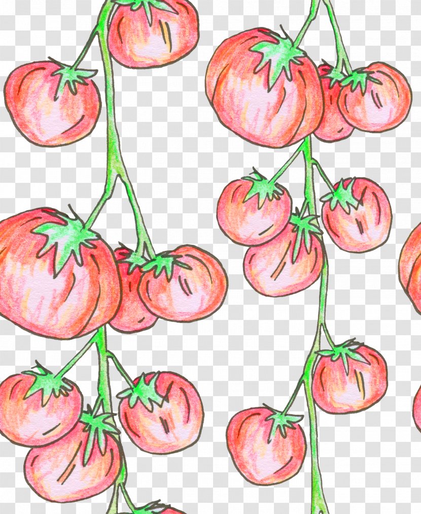 Tomato Clip Art Plant Stem Plants - Fruit Transparent PNG