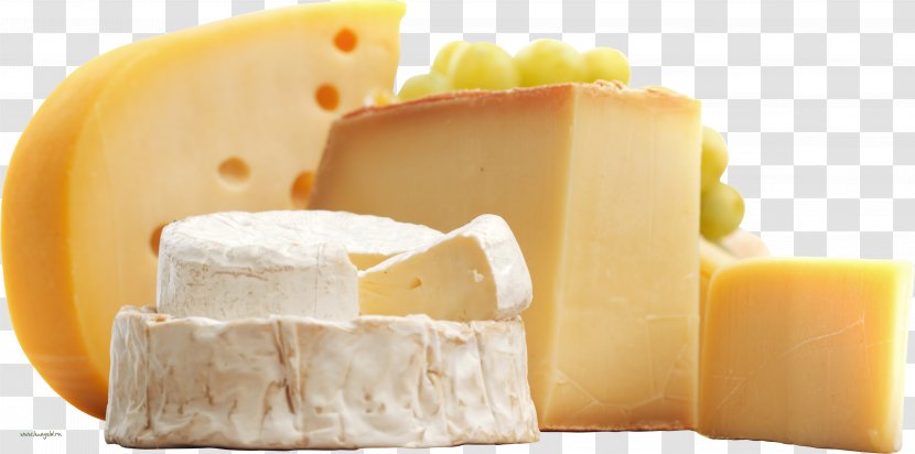 Milk Italian Cuisine Cheese Eating Dairy Products - Oyster Transparent PNG