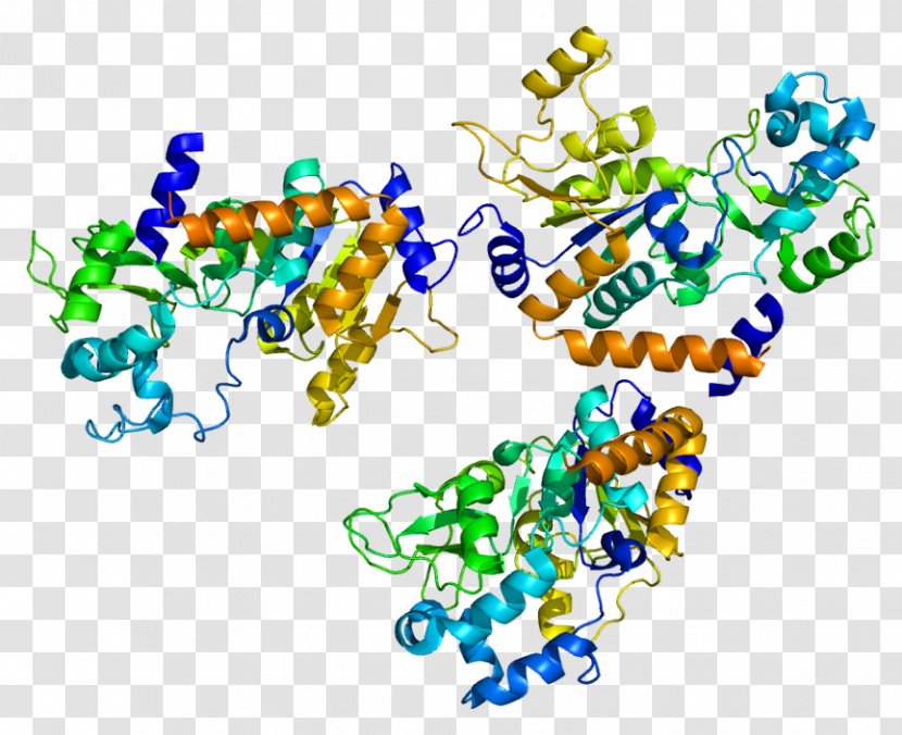 Sirtuin 2 1 Gene Protein - Watercolor - Frame Transparent PNG