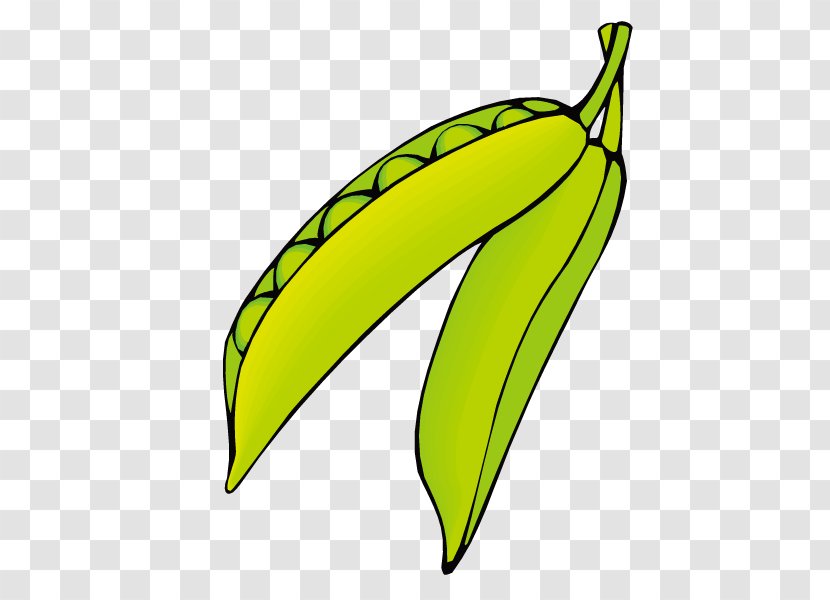 Pea Euclidean Vector Vegetable Clip Art - Yellow - Peas Transparent PNG