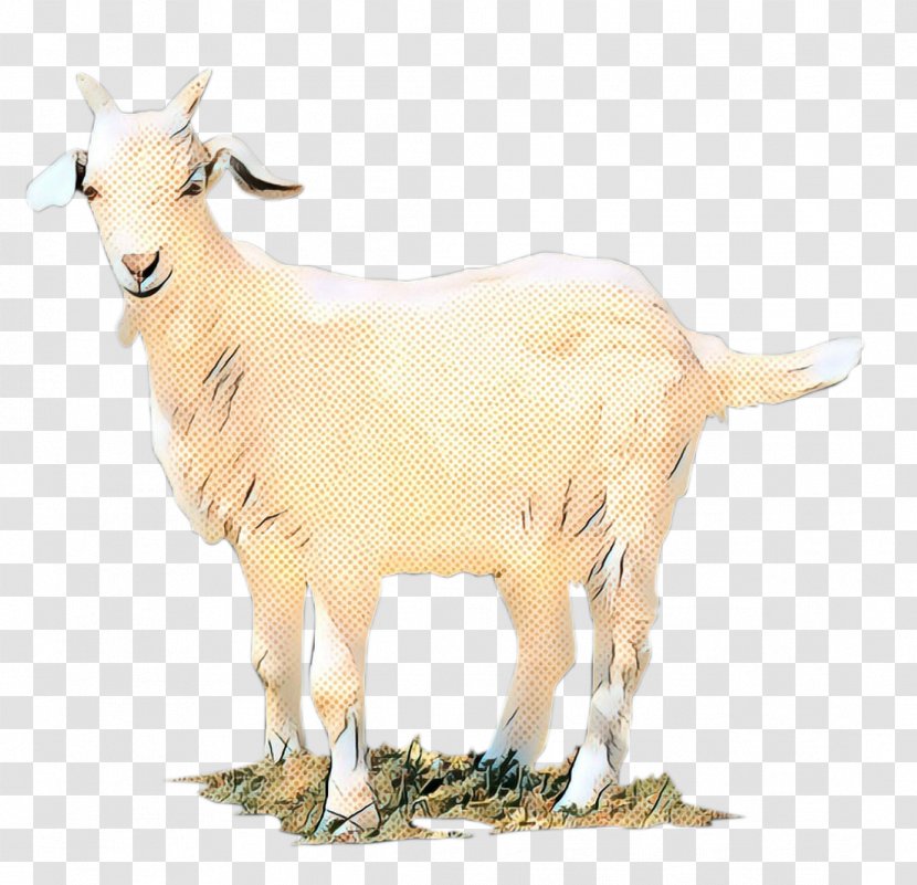GOAT Sheep Fauna Terrestrial Animal Transparent PNG