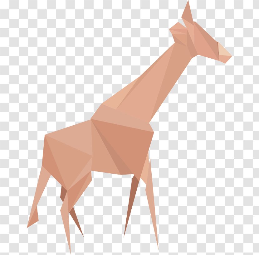 Northern Giraffe Cartoon Euclidean Vector - Giraffidae Transparent PNG