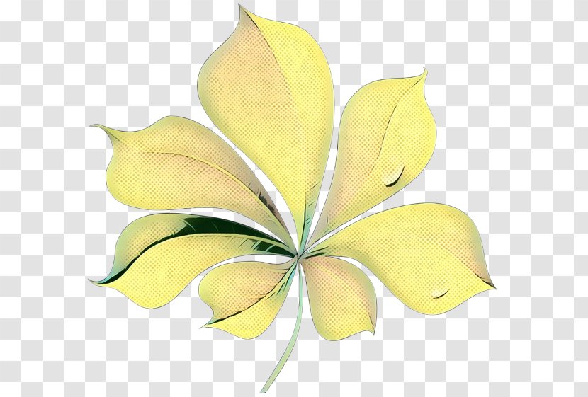 Flowers Background - Petal - Plant Flower Transparent PNG