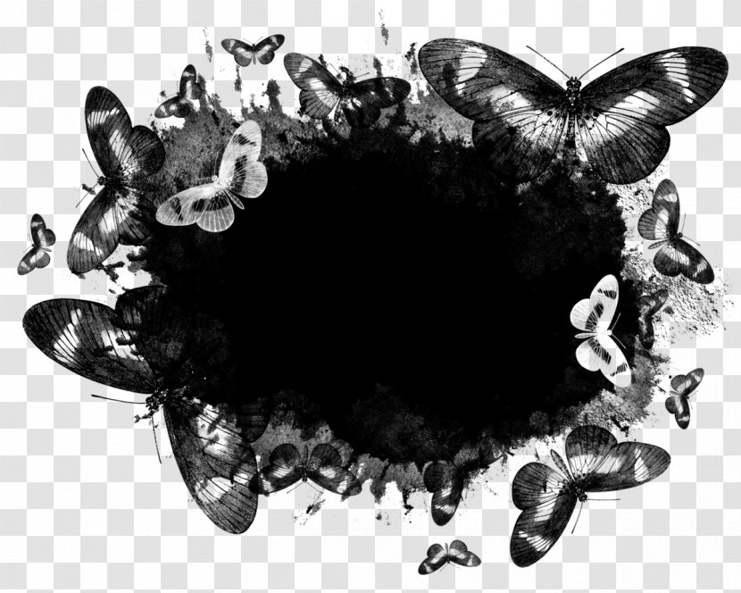 Butterfly Cartoon - Pollinator - Monochrome Photography Transparent PNG
