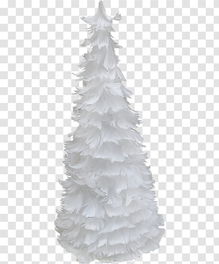 Spruce Christmas Tree Fir - Pine Transparent PNG