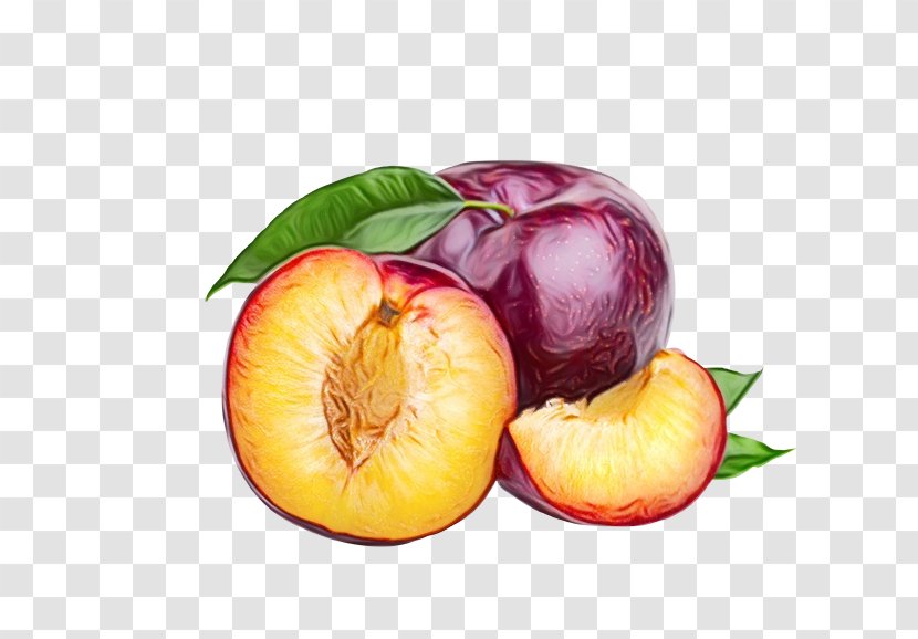 Apple Tree - Nectarines - Drupe Star Transparent PNG