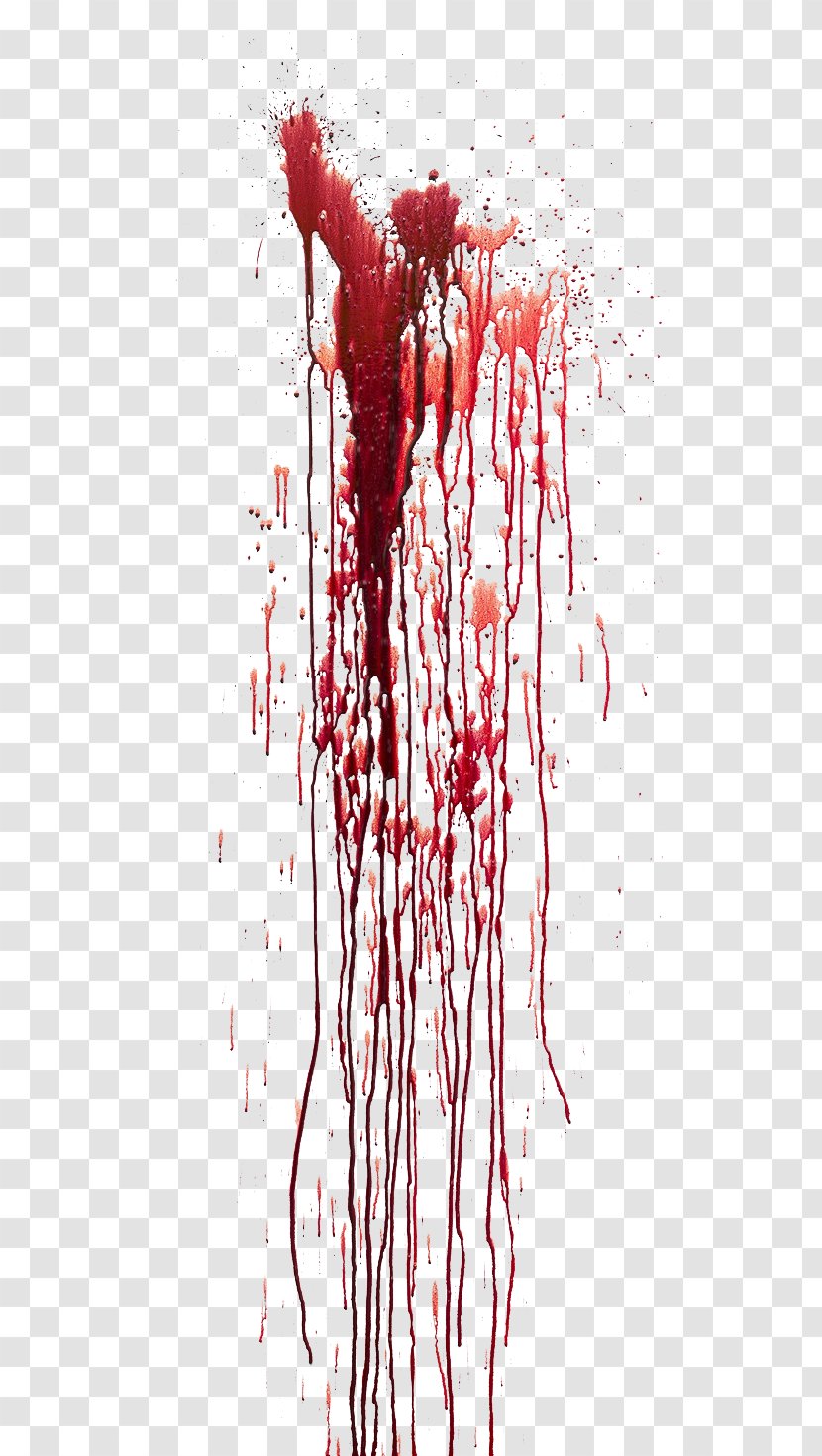 Blood Bleeding - Tree - Suspense Horror Transparent PNG