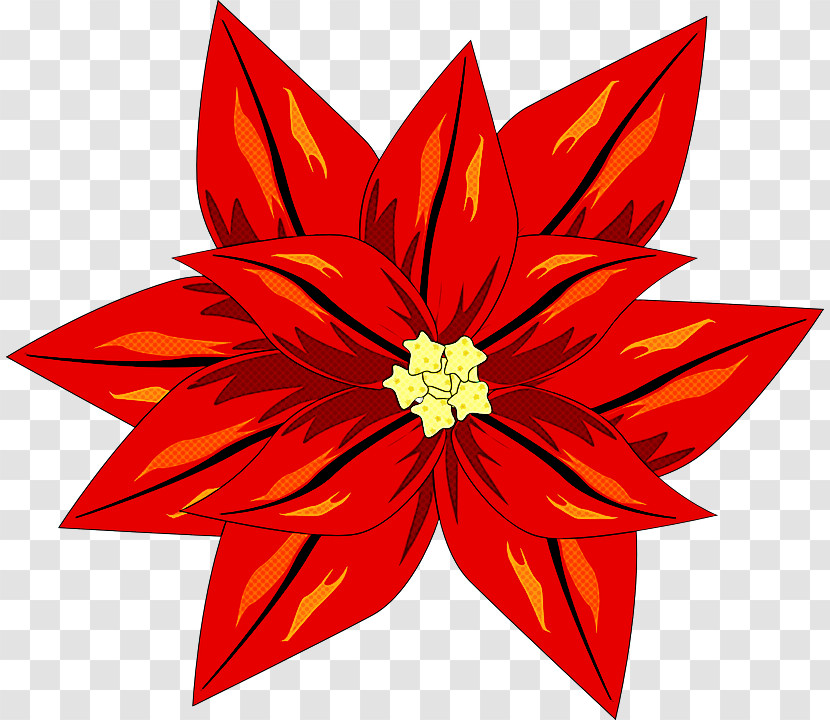 Red Petal Flower Poinsettia Plant Transparent PNG