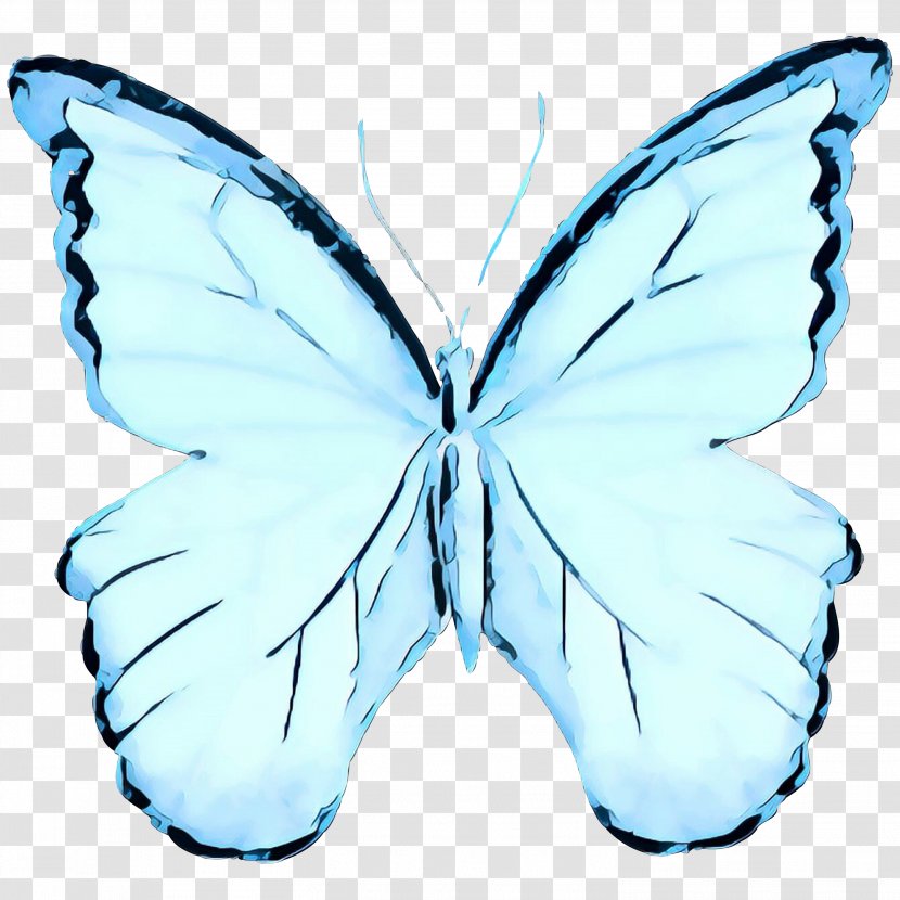 Monarch Butterfly Silkworm Brush-footed Butterflies M. Moth - Symmetry - Blue Transparent PNG