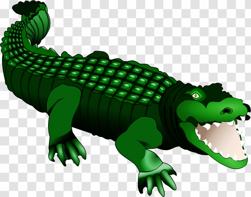 Reptile Crocodilia Crocodile Green Alligator Transparent PNG