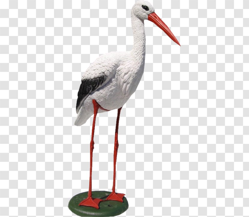White Stork Bird Plastic Wader Beak Transparent PNG
