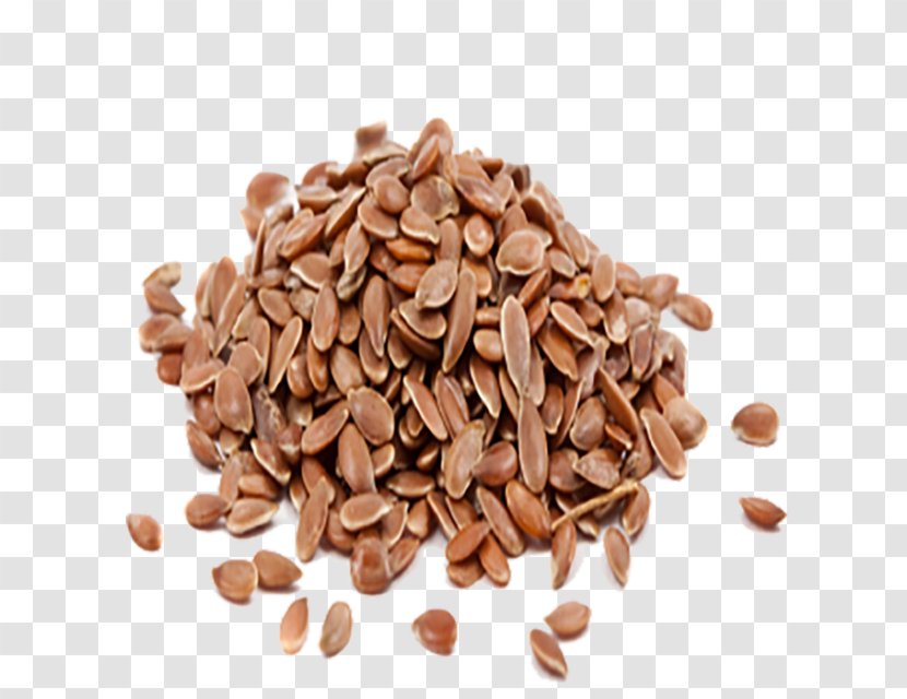 Horse Nut Seed Commodity Grain Transparent PNG