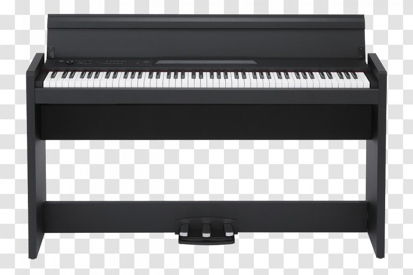 KORG LP-380 Digital Piano Action - Silhouette Transparent PNG
