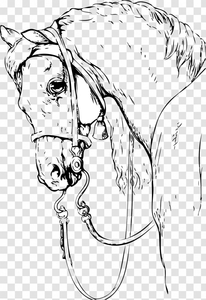 Drawing Painting Horse Black And White Clip Art - Tree Transparent PNG