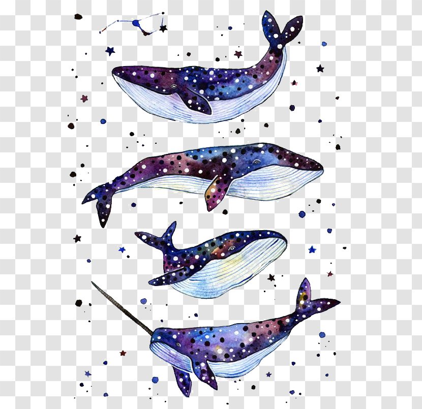 Whale Shark Paper Tattoo - Whales Dolphins And Porpoises - Blue Transparent PNG