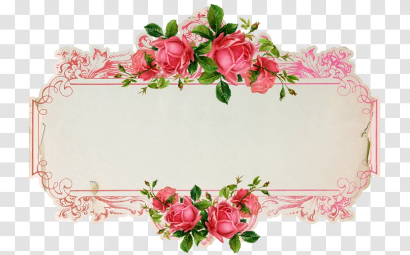 Paper Label Sticker Envelope Clip Art - Flowering Plant - Rose Bloom Transparent PNG