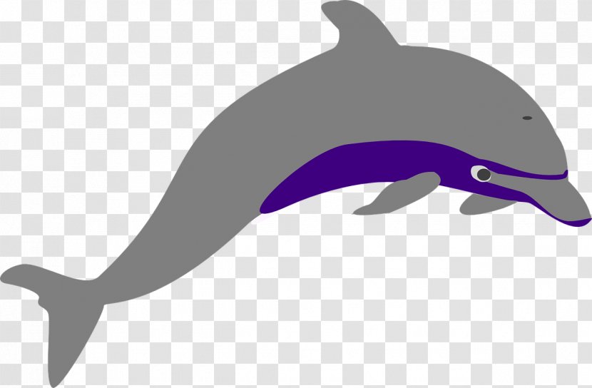 Porpoise Tucuxi Wholphin Clip Art - Jump Transparent PNG