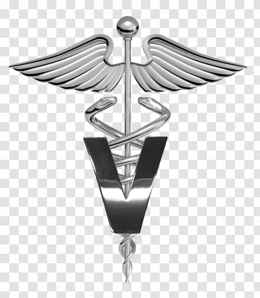 Staff Of Hermes Caduceus As A Symbol Medicine Image Transparent PNG